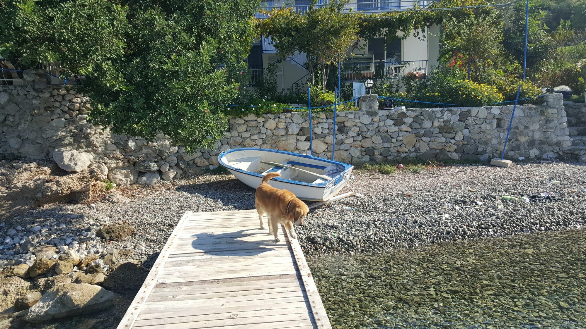 Mavi Akvaryum Otel セリミエ エクステリア 写真